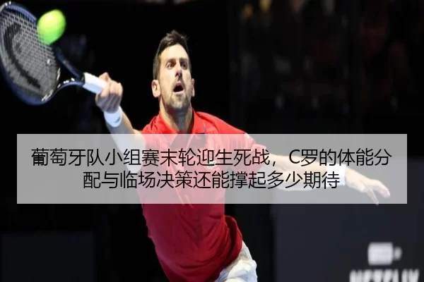 pu-tao-ya-dui-xiao-zu-sai-mo-lun-ying-sheng-si-zhan-luo-de-ti-neng-fen-pei-yu-lin-chang-jue-ce-hai-neng-cheng-qi-duo-2-715.jpg